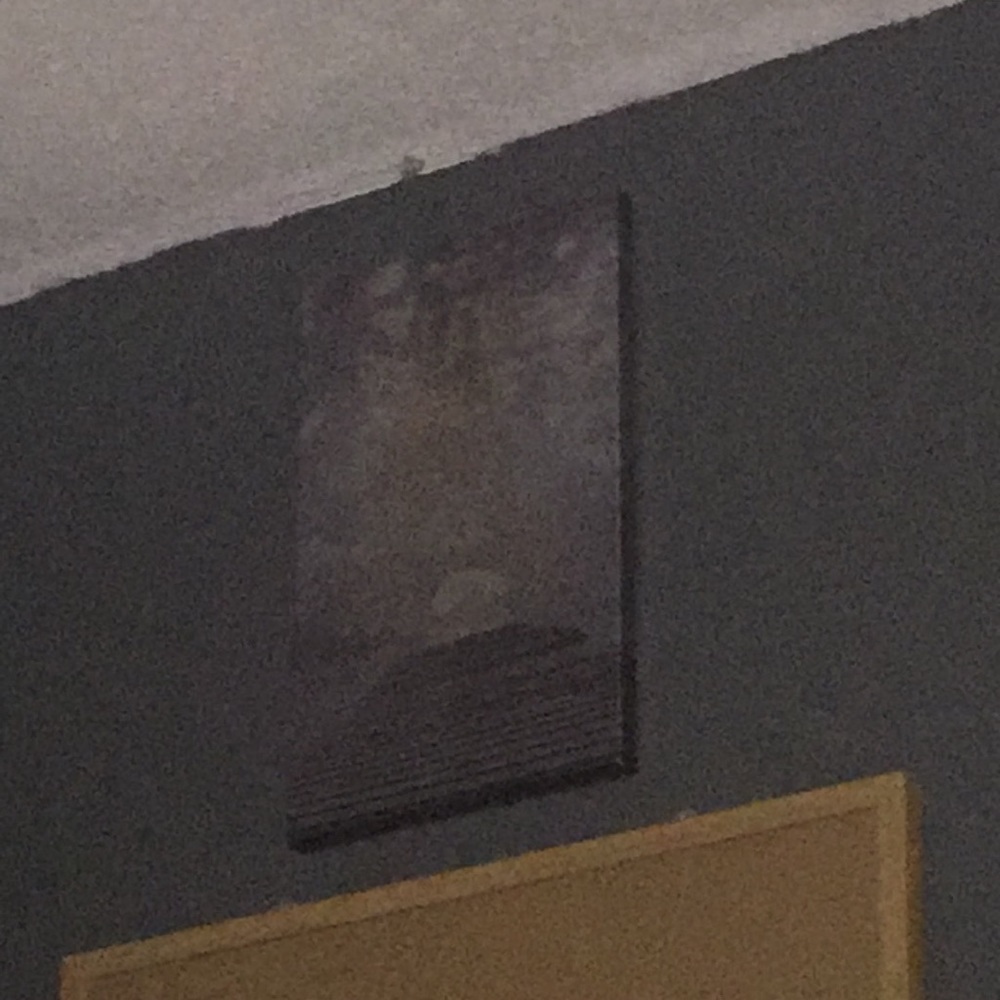 Meet your Posher, Gabrielle